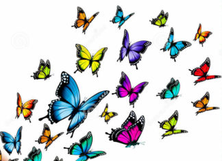 Casamento intercultural e saudades